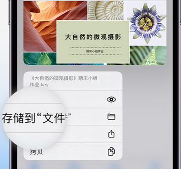 天山apple维修中心分享iPhone文件应用中存储和找到下载文件