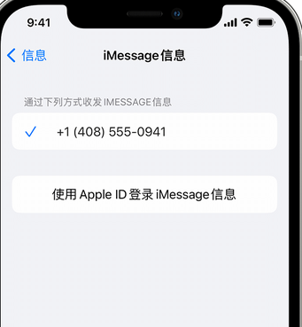 天山apple维修iPhone上无法正常发送iMessage信息 