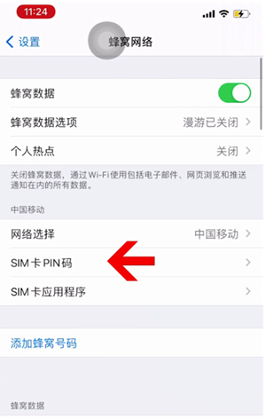 天山苹果14维修网分享如何给iPhone14的SIM卡设置密码 