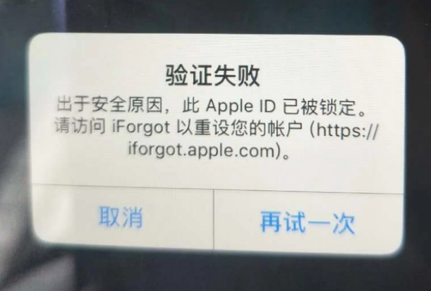 天山iPhone维修分享iPhone上正常登录或使用AppleID怎么办 