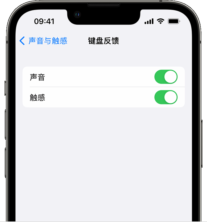 天山苹果14维修分享iPhone 14 系列机型如何开启键盘声音或触感反馈 