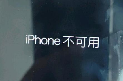 天山苹果服务网点分享锁屏界面显示“iPhone 不可用”如何解决 