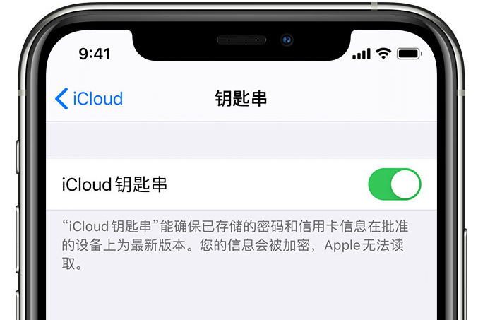 天山苹果手机维修分享在 iPhone 上开启 iCloud 钥匙串之后会储存哪些信息 