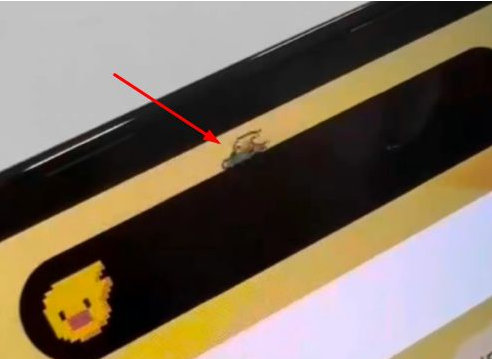 天山苹果14维修分享iPhone 14 Pro Max灵动岛怎么养宠物 