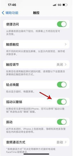 天山苹果手机维修分享iPhone手机如何设置摇一摇删除文字 