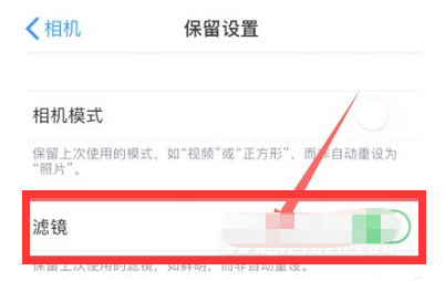天山苹果13维修分享iPhone13拍照有绿点是怎么回事 