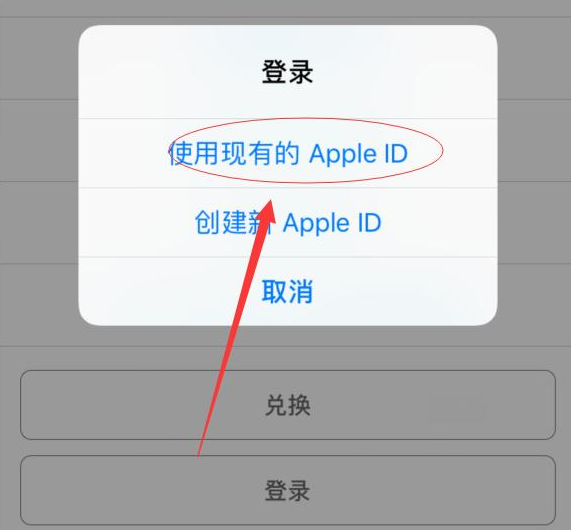 天山苹果手机维修分享两台iPhone设备可以同时登录一个Apple ID吗 