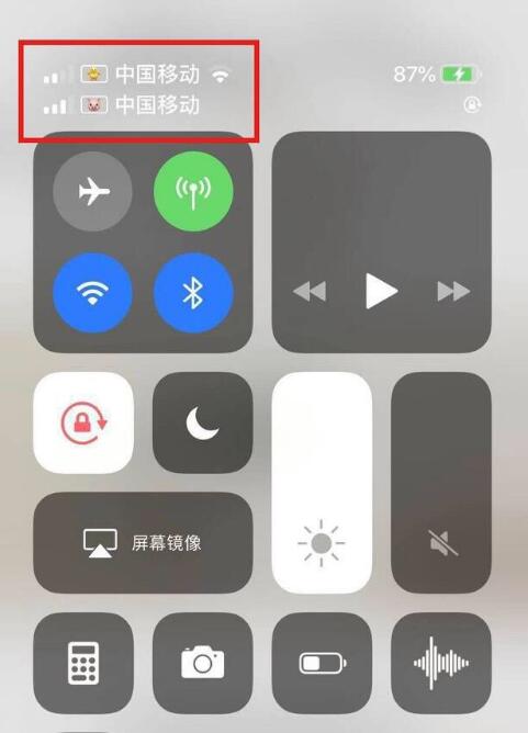 天山苹果手机维修分享为 iPhone 12 双卡设置标签 